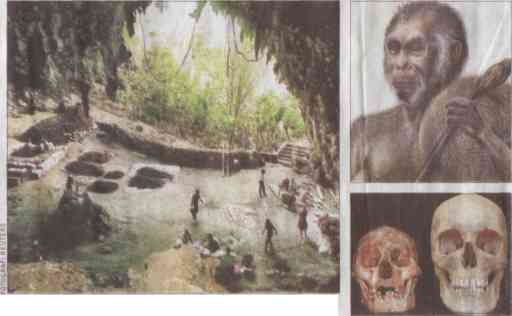 Homo Floresiensis - Flores Adamı